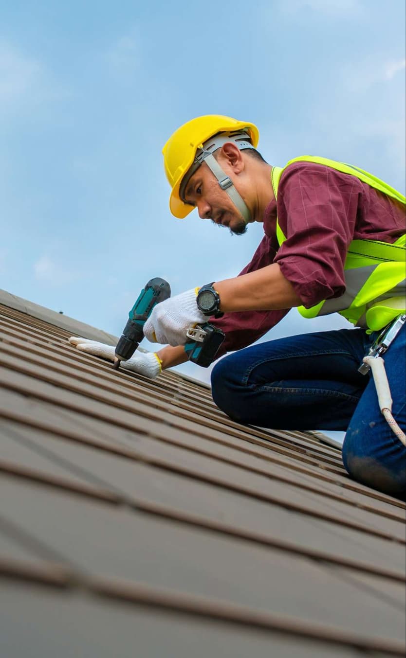 Madison | General Property Maintenance & Groundskeeper