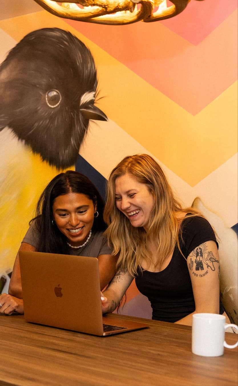 Haka House Hostels | Part-Time Accountant