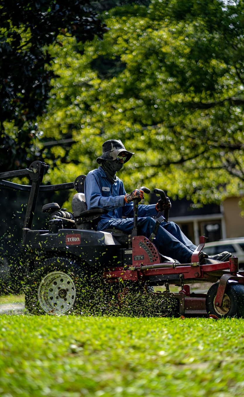 Remarkable People | Landscapers