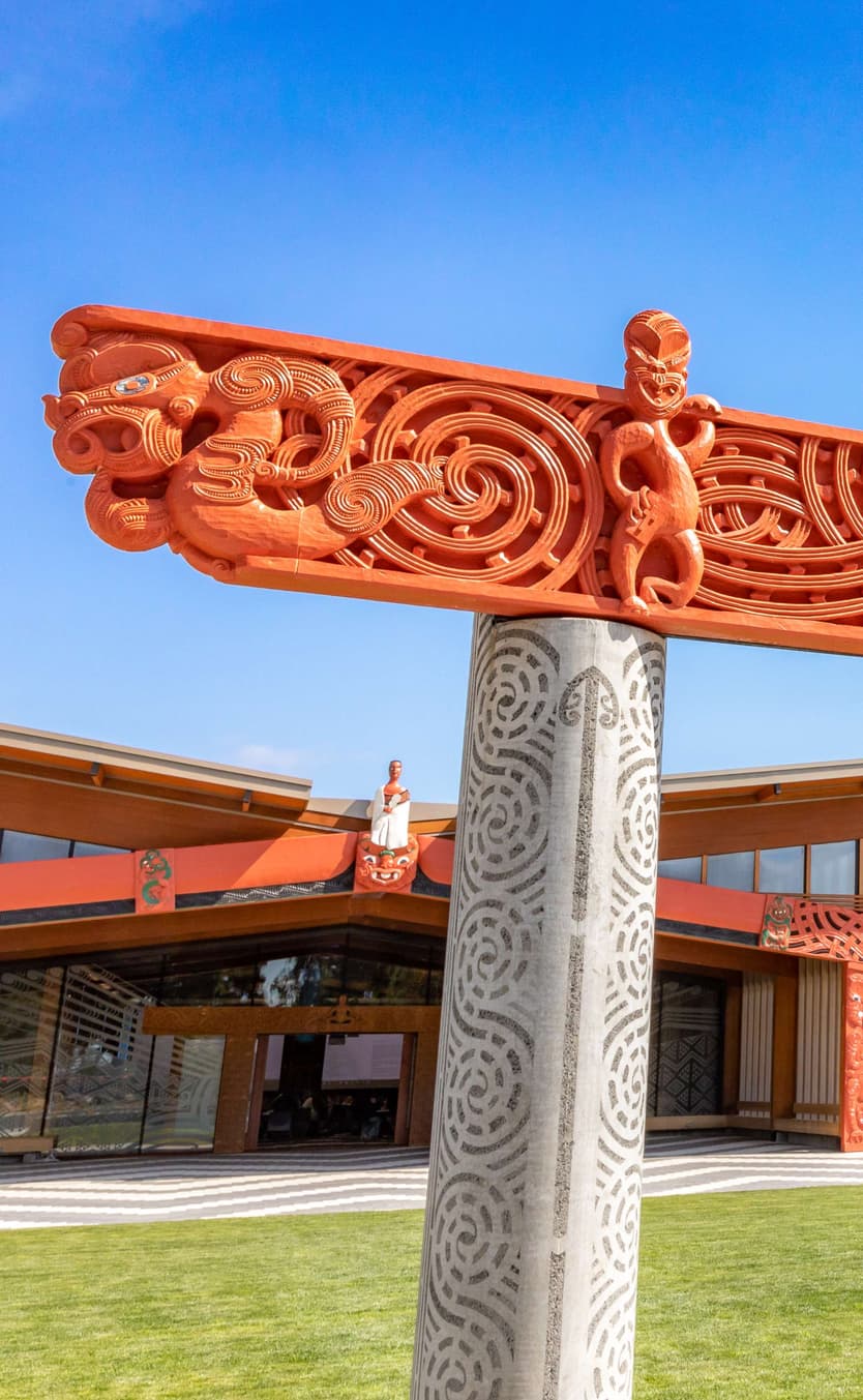 University of Waikato | International Marketing Specialist