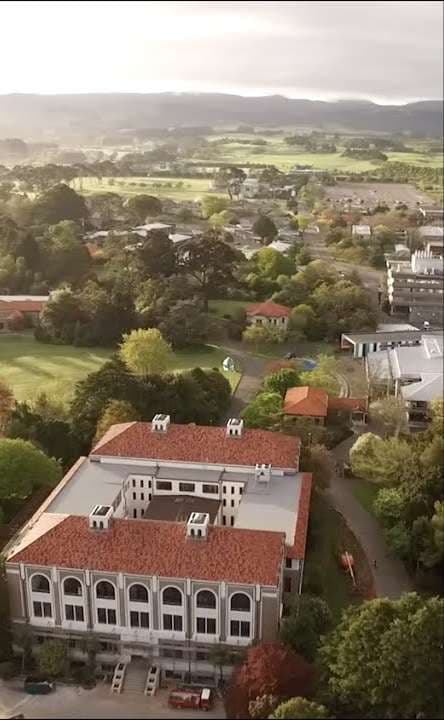 Te Kunenga ki Pūrehuroa Massey University | Veterinary Nurse - Companion Animal Hospital
