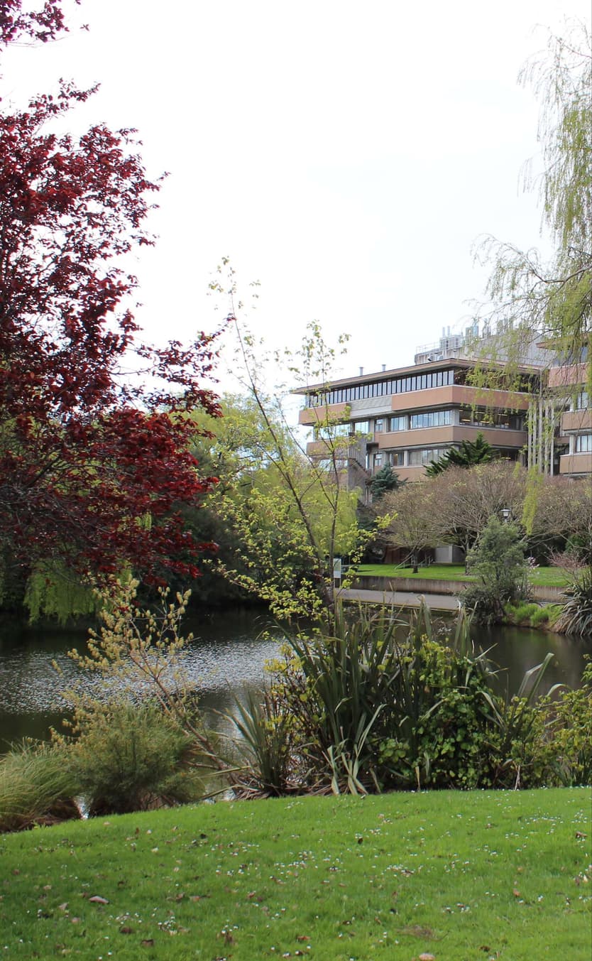 Te Kunenga ki Pūrehuroa Massey University | ITSM Platform Specialist