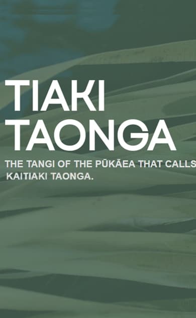 Tiaki Taonga Trust - Wai 262 Flora and Fauna | Senior Platform Engineering Manager (Internship Preferred/Volunteer)